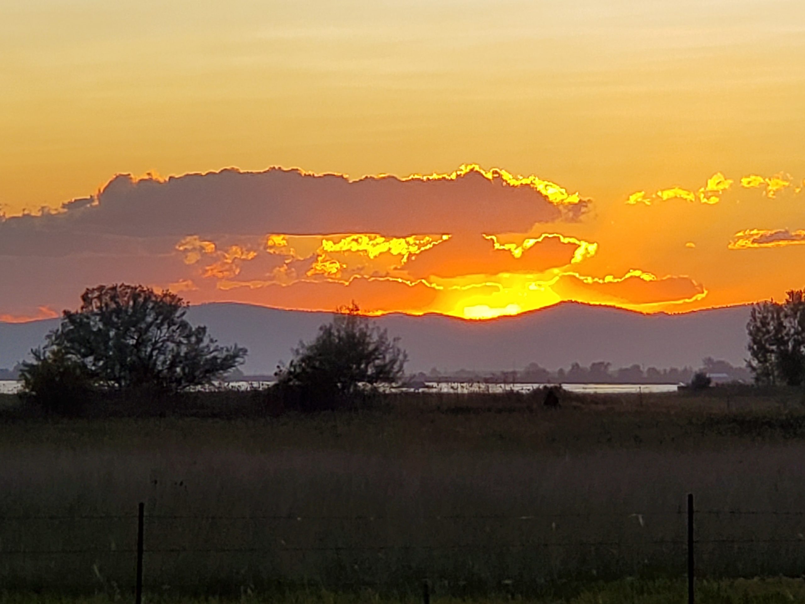 1ff Sunset 3