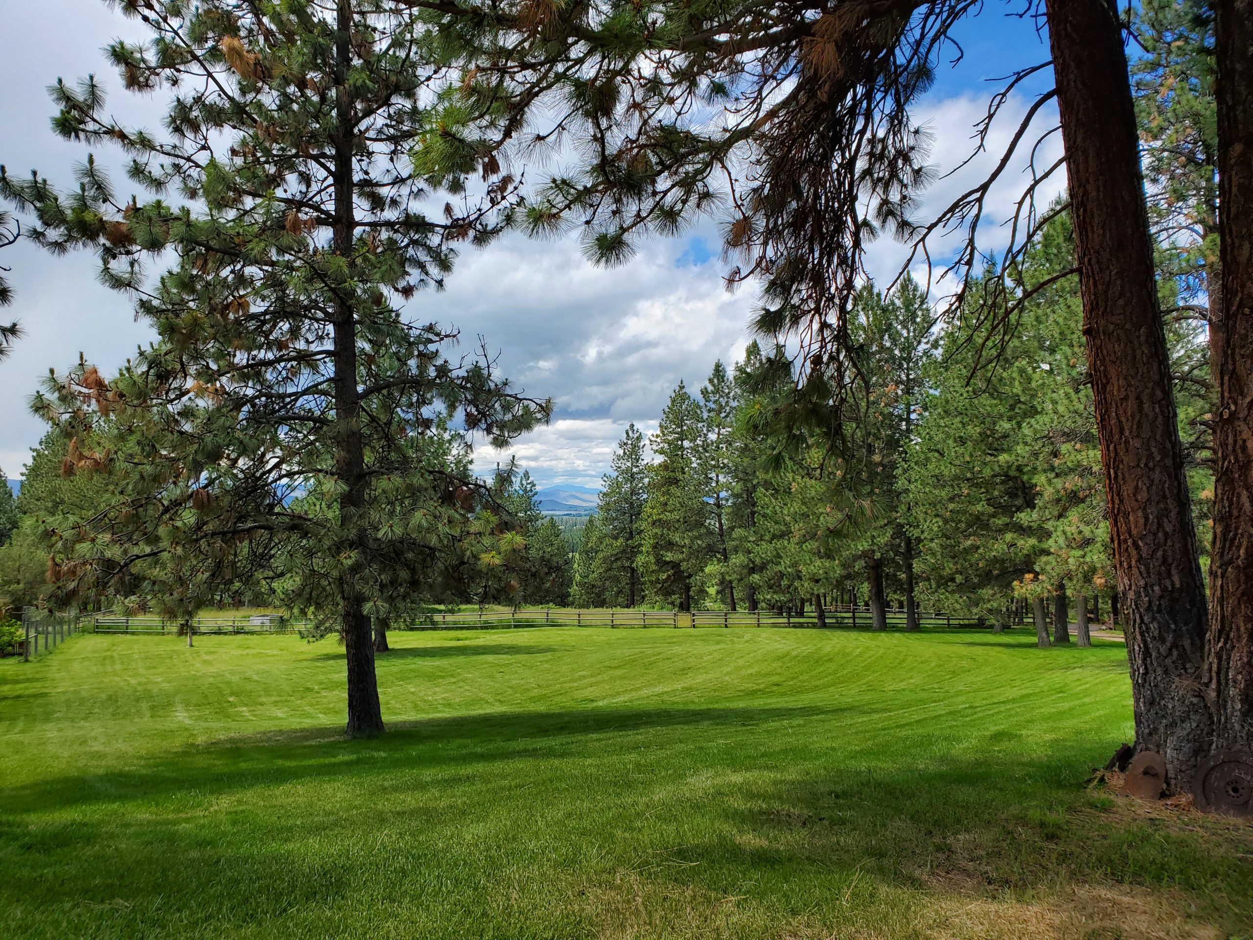 1ff West Lawn 5