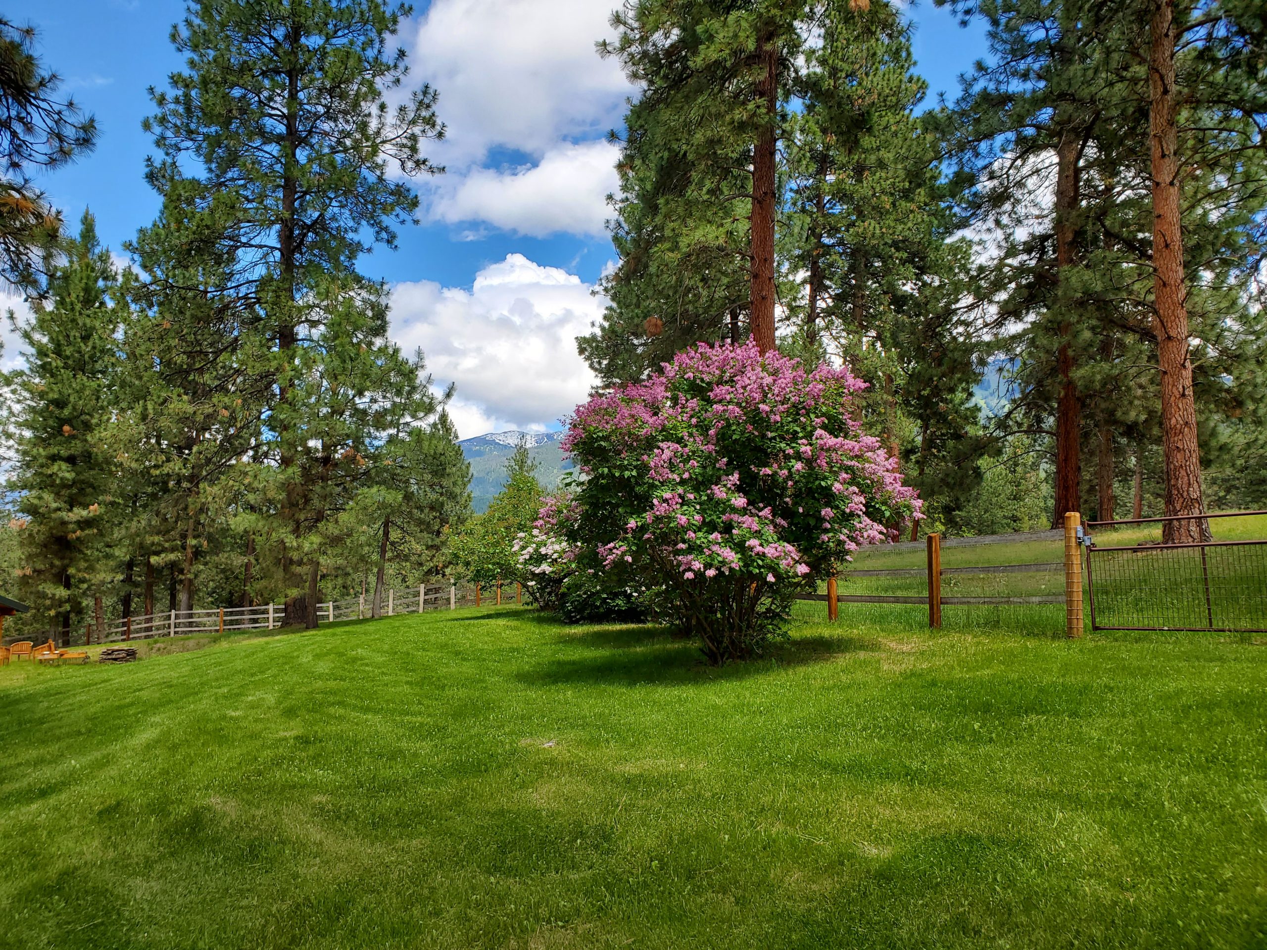 5 North Fench garden