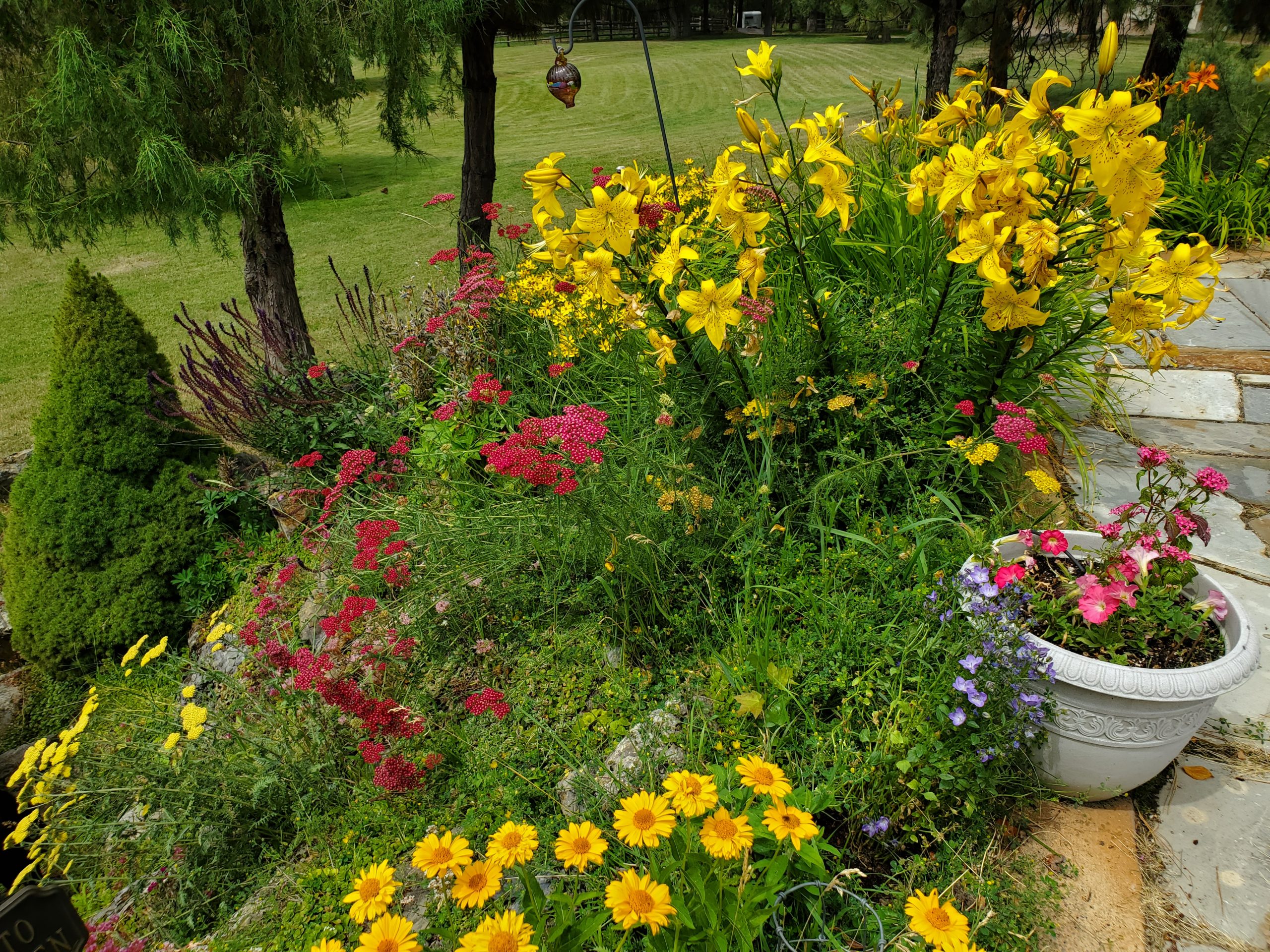 1mm West Roack Deck Flowers