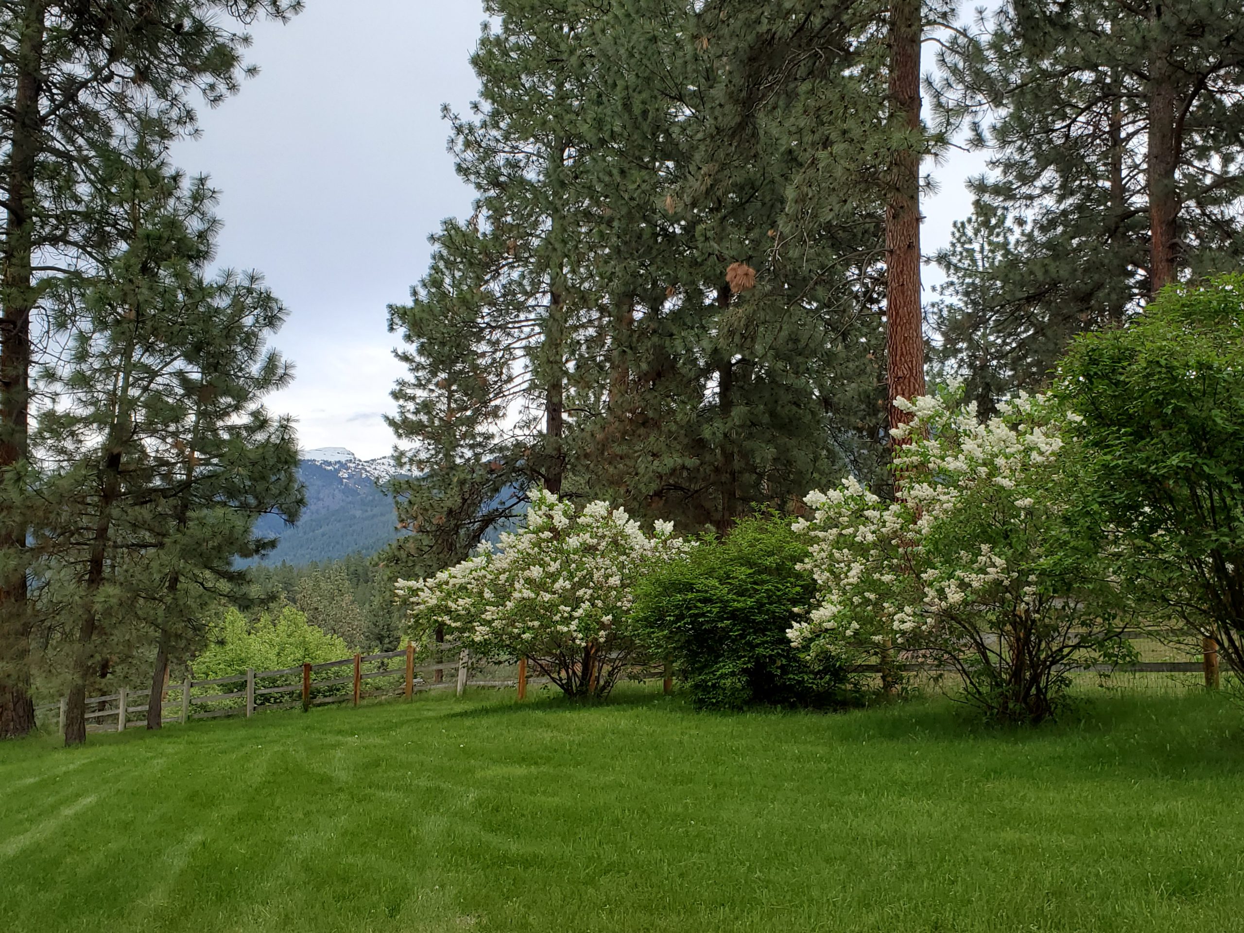 5b North Lawn