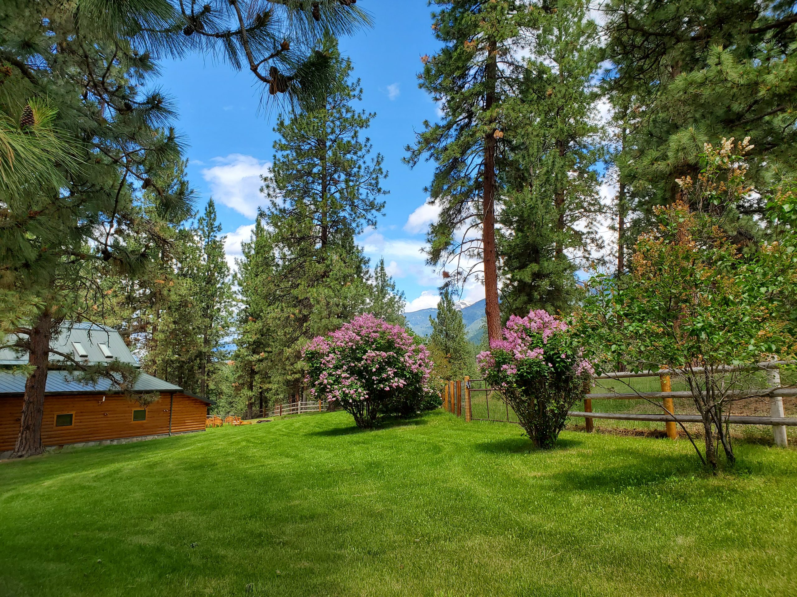 5c North Garden Lawn 5