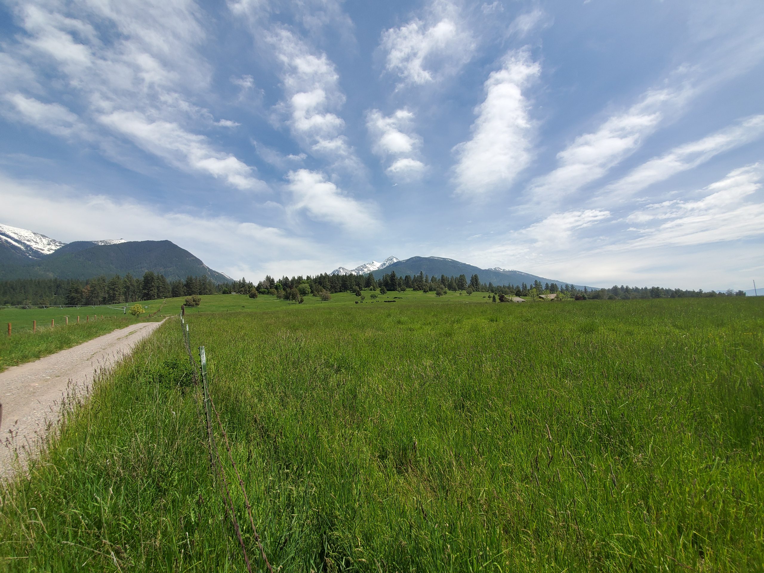 Lower Drive To Ranch