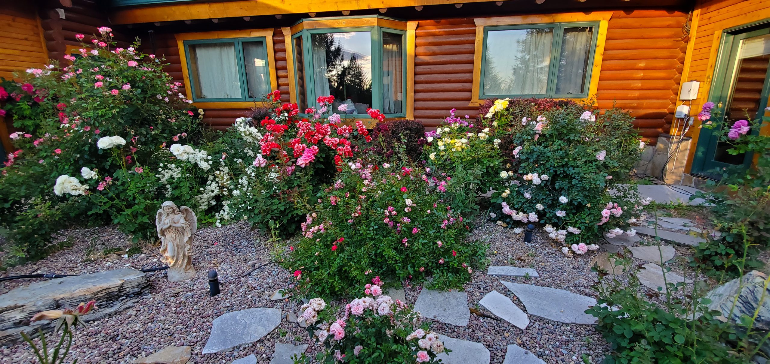Rose Garden